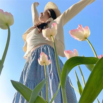 性爱黄脚鸡